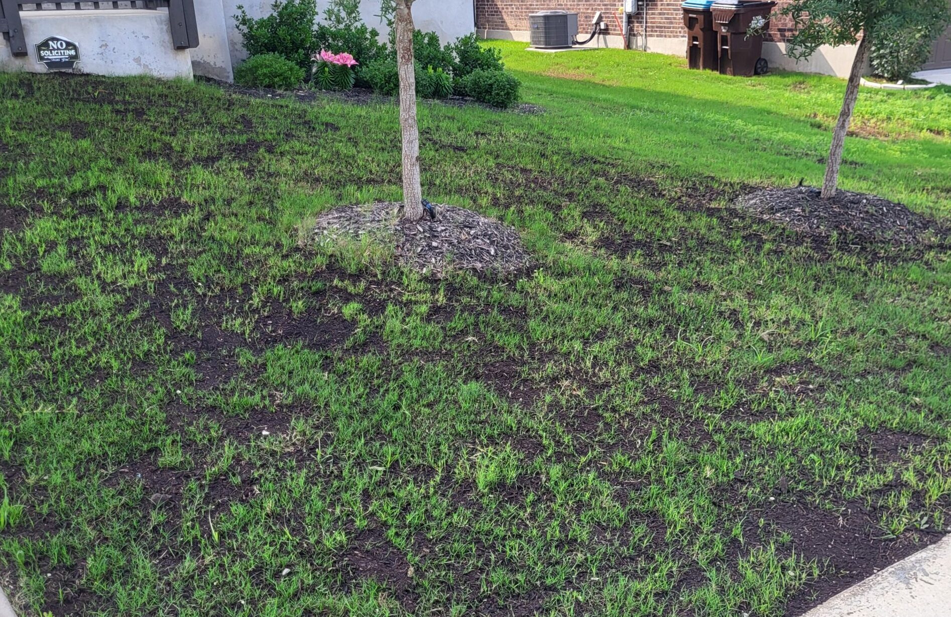 Mulch Beds